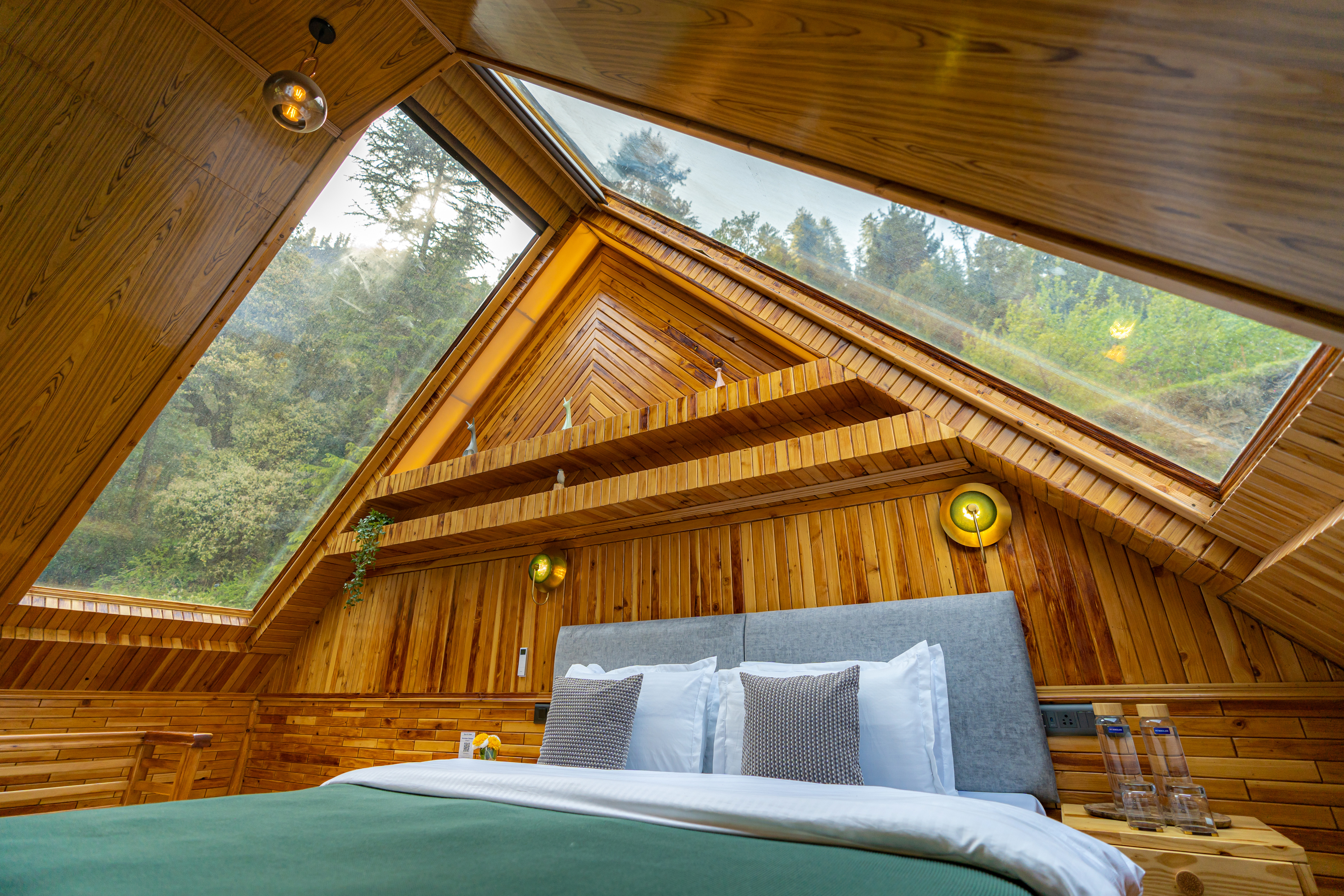 A bed beneath a glass roof, deodar branches visible through the panes overhead