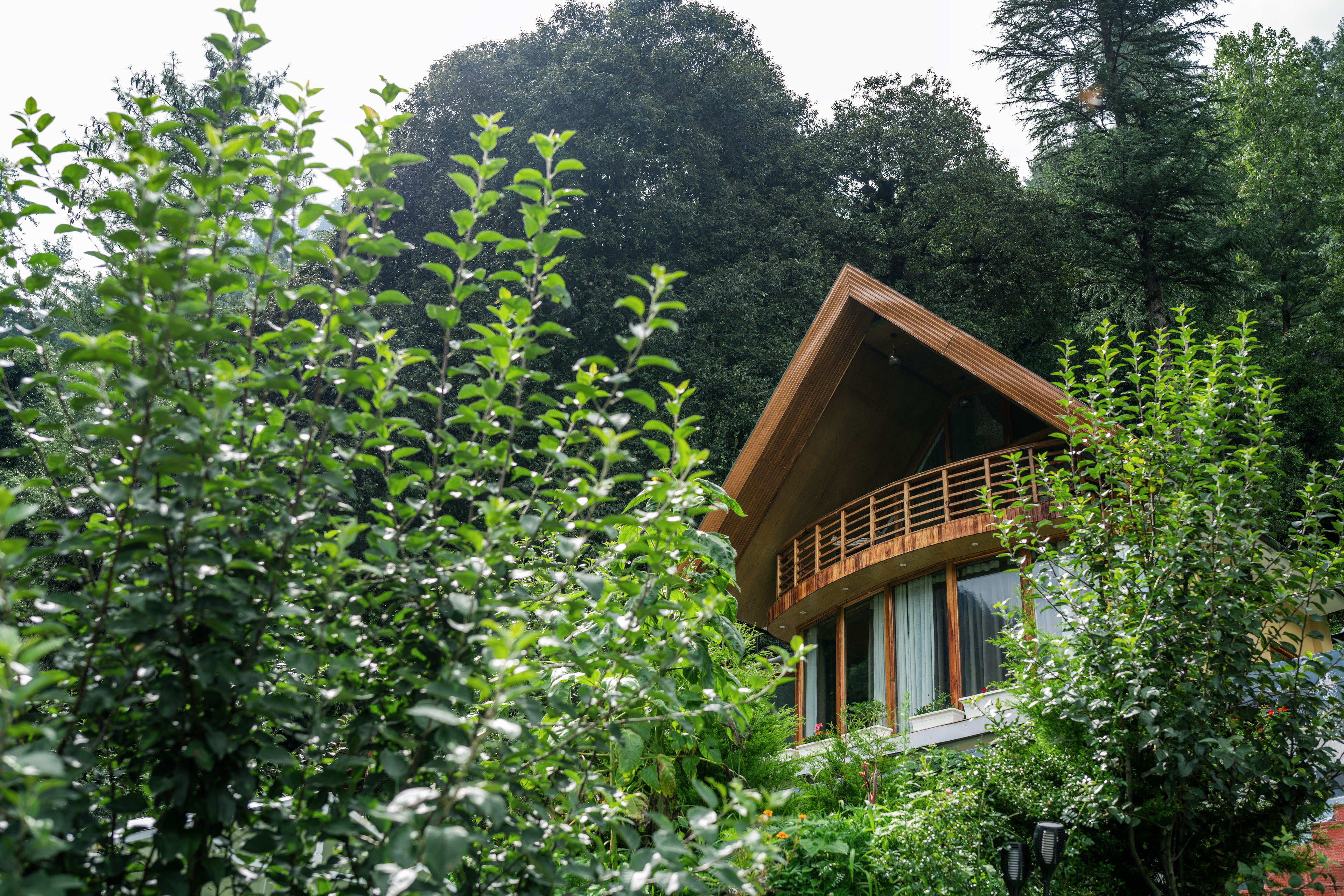 A curved deodar-wood balcony peeking through apple trees